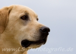 46 Paul im Portrait